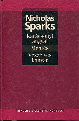 Nicholas Sparks: Karácsonyi angyal, Mentés, Veszélyes kanyar
