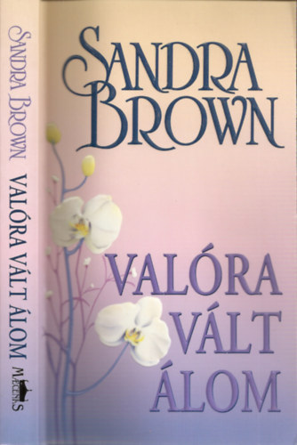 Sandra Brown: Valóra vált álom