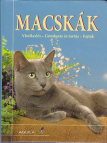 : Macskák (viselkedés, gondozás és tartás, fajták)