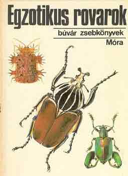 Vásárhelyi-Csiby: Egzotikus rovarok (búvár zsebkönyvek)