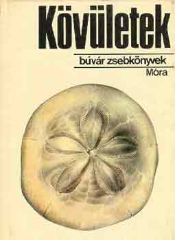 Scholz Gábor Dr.: Kövületek (Búvár zsebkönyv)