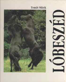 Tomás Micek: Lóbeszéd