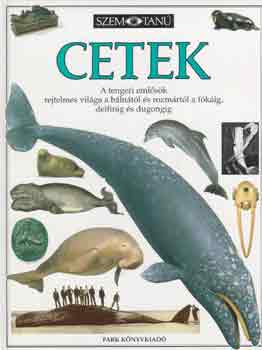 Vassili Papastavrou: Cetek (Szemtanú)