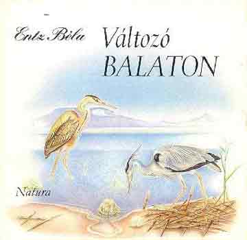 Entz Béla: Változó Balaton