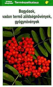 Grau-Jung-Münker: Bogyósok, vadon termő zöldségnövények, gyógynövények (Természetkalauz)