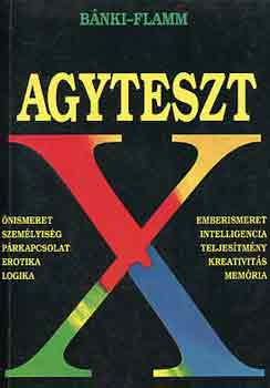 Bánki-Flamm: Agyteszt X