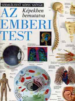 Chez Picthall: Az emberi test képekben bemutatva (Szemléltető képes szótár)