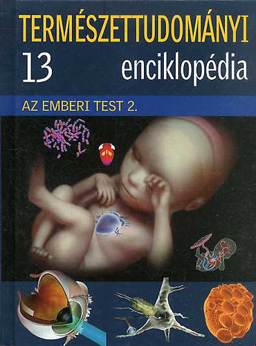 : Természettudományi enciklopédia 13. - Az emberi test 2.