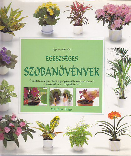 Matthew Biggs: Egészséges szobanövények
