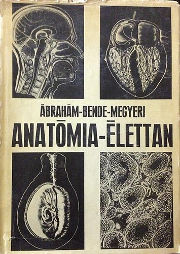 Ábrahám-Bende-Megyeri: Anatómia-élettan
