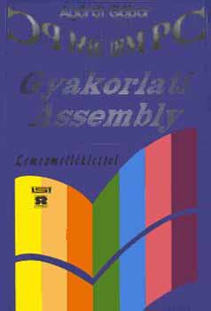 Agárdi Gábor: Gyakorlati Assembly