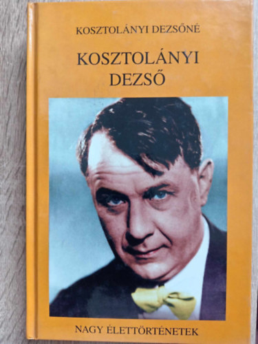 Kosztolányi Dezsőné: Kosztolányi Dezső - Életrajzi regény (Nagy élettörténetek)