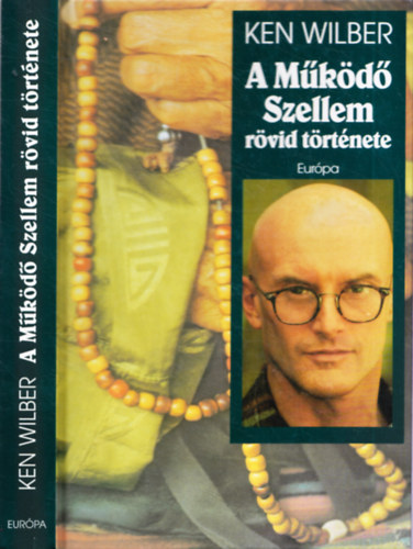 Ken Wilber: A működő szellem rövid története