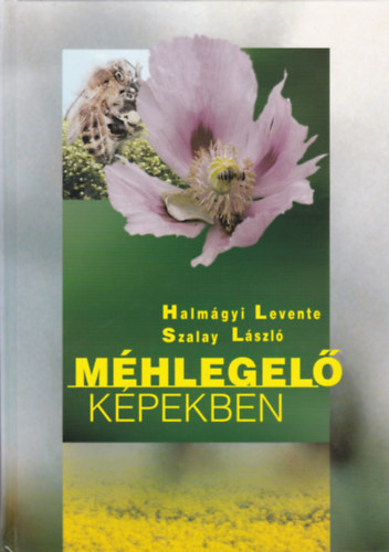 Agroinform Kiadó: Méhlegelő képekben