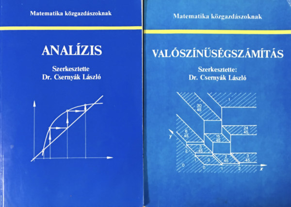 Dr. Csernyák László: Matematika közgazdászoknak: Analízis + Valószínűségszámítás (2 kötet)