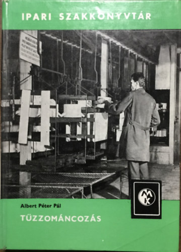 Albert Péter Pál: Tűzzománcozás (Ipari Szakkönyvtár)