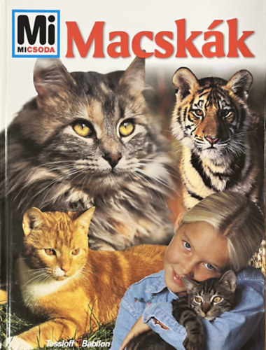 Reiner Dr. Köthe: Macskák (Mi micsoda)