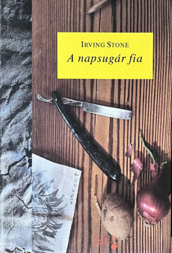 Irving Stone: A napsugár fia - Van Gogh élete