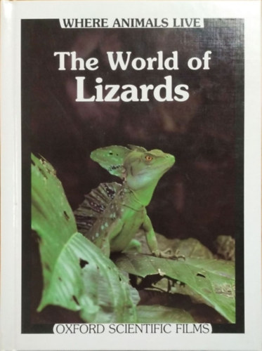 Virginia Harrison: The World of Lizards (Where Animals Live)