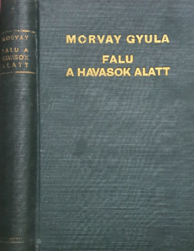 Morvay Gyula: Falu a havasok alatt