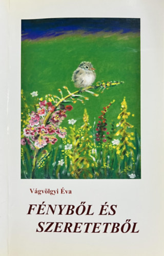Vágvölgyi Éva: Fényből és szeretetből