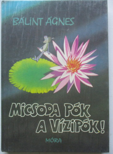 Bálint Ágnes: Micsoda pók a vízipók!