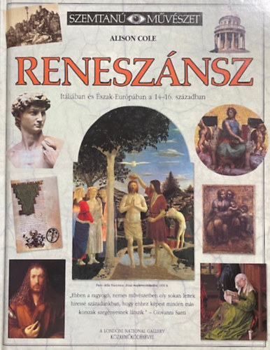 Allison Cole: Reneszánsz (Szemtanú)