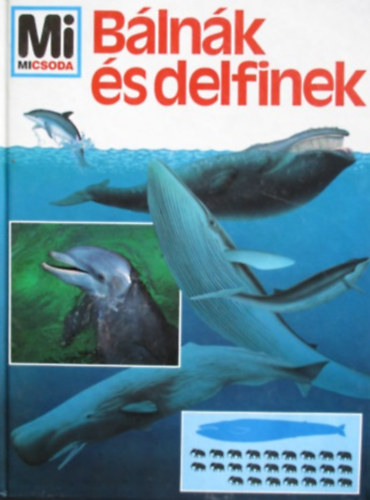 Petra Deimer: Bálnák és delfinek (Mi micsoda)