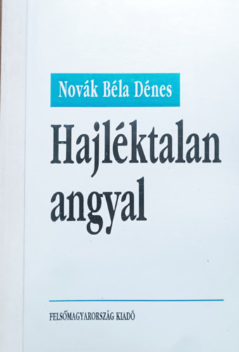 Novák Béla Dénes: Hajléktalan angyal