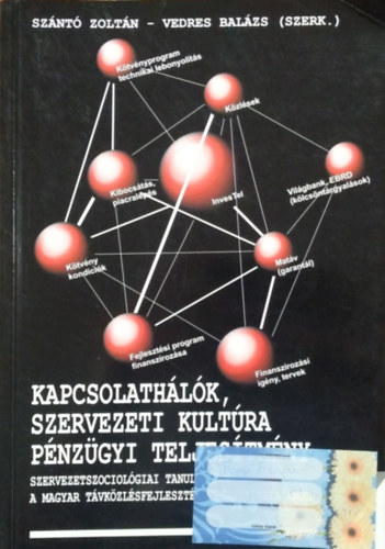 Szántó Zoltán; Vedres Balázs: Kapcsolathálók, szervezeti kultúra, pénzügyi teljesítmény