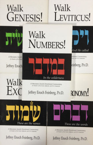 : 5 Jeffrey Enoch Feinberg book - The Walk Set