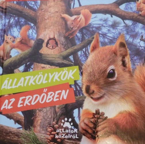 ismeretlen: Állatkölykök az erdőben