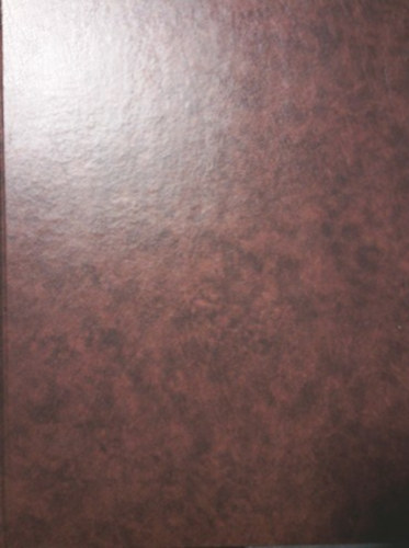 Corvina Kiadó: A művészet története: A századvég és a századelő