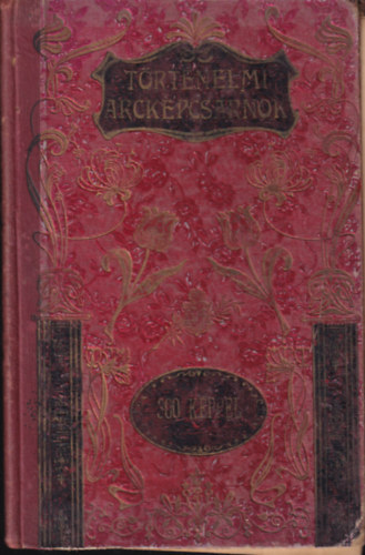 Dolinay Gyula: Történelmi arcképcsarnok az ifjúság és a nép számára 300 képpel