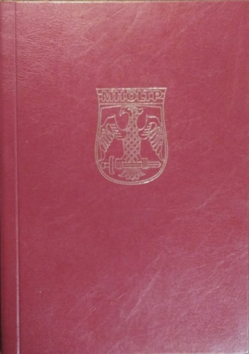 Várdai István mk. alezredes (szerk.): Az MH összhaderőnemi logisztikai és támogató parancsnokság története 1997-2003