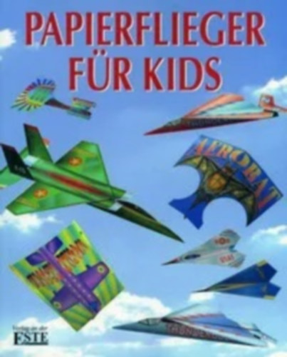 Jeff Lammer, Ken Blackburn: Papierflieger für Kids