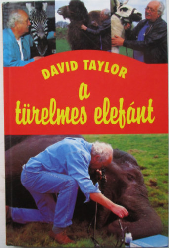David Taylor: A türelmes elefánt
