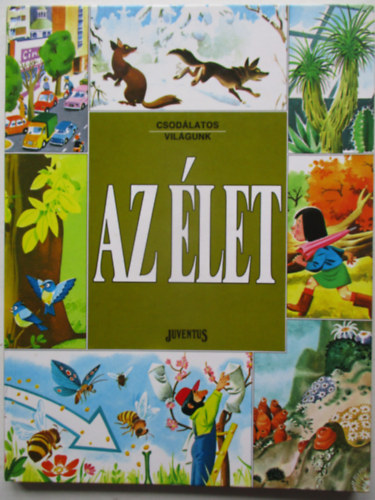 Ballér Judit; Tony Wolf: Az élet (Csodálatos világunk)