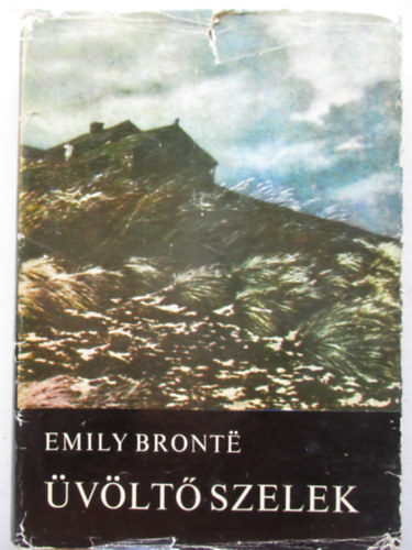 Emily Brontë: Üvöltő szelek
