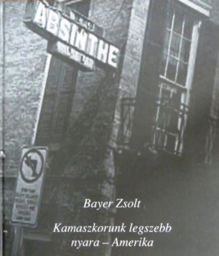 Bayer Zsolt: Kamaszkorunk legszebb nyara - Amerika