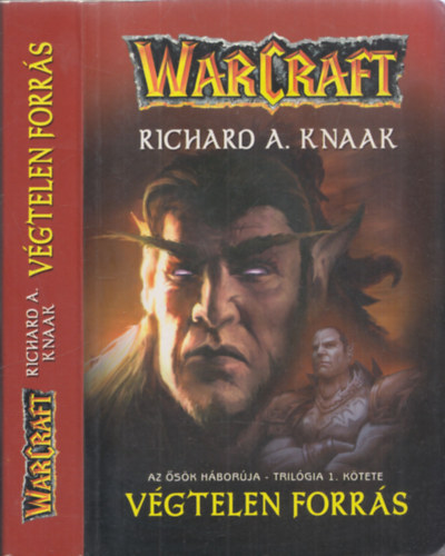 Richard A. Knaak: Végtelen forrás - WarCraft