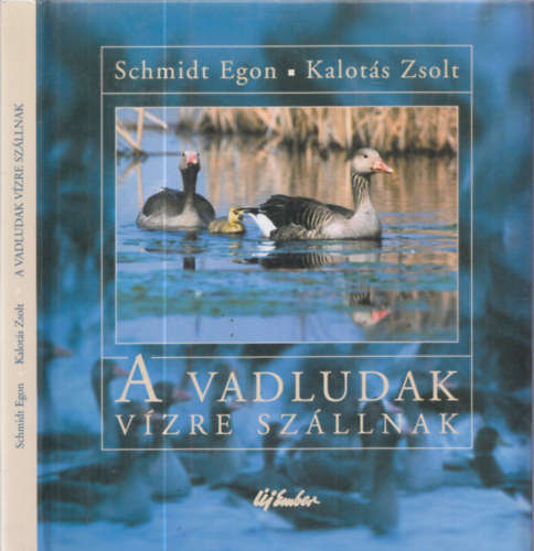 Schmidt Egon; Kalotás Zsolt: A vadludak vízre szállnak