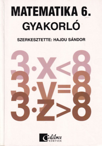 Dr. Hajdu Sándor: Matematika 6. gyakorló - Általános iskola 6. osztály