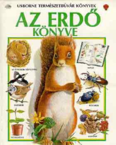 Barbara Cork: Az erdő könyve (Usborne természetbúvár könyvek)