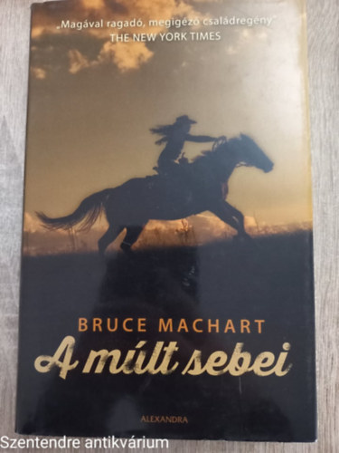 Bruce Machart: A múlt sebei