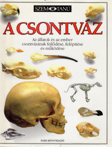 Steve Parker: A csontváz: Az állatok és az ember csontvázának fejlődése, felépítése és működése (Szemtanú sorozat)