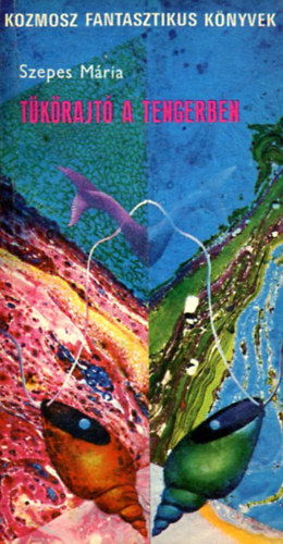 Szepes Mária: Tükörajtó a tengerben