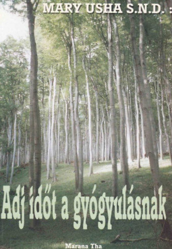 Mary Usha: Adj időt a gyógyulásnak