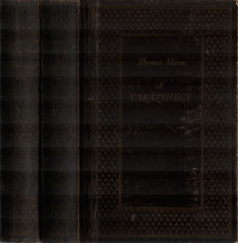 Thomas Mann: A varázshegy I-II.