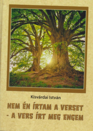 Kisvárdai István: Nem én írtam a verset - a vers írt meg engem